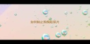 如何制止狗狗咬尿片