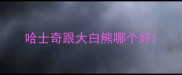 哈士奇跟大白熊哪个好