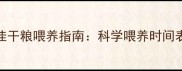 边牧幼犬最佳干粮喂养指南科学喂养时间表与营养建议
