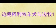 边境柯利牧羊犬与边牧