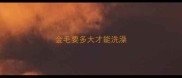 金毛要多大才能洗澡