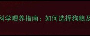 哈士奇幼犬科学喂养指南如何选择狗粮及喂养技巧全