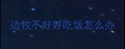 边牧不好好吃饭怎么办