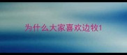 为什么大家喜欢边牧