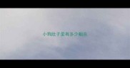 小狗肚子里有多少蛔虫