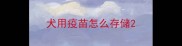 犬用疫苗怎么存储