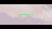 宠物蛋糕的做法大全