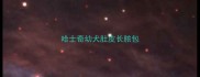 哈士奇幼犬肚皮长脓包