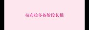 拉布拉多各阶段长相
