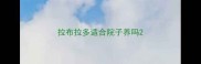 拉布拉多适合院子养吗