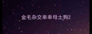 金毛杂交串串母土狗