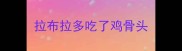 拉布拉多吃了鸡骨头