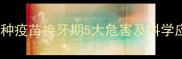 小狗未接种疫苗换牙期5大危害及科学应对指南