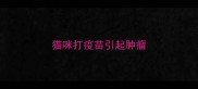 猫咪打疫苗引起肿瘤