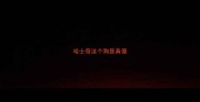 哈士奇这个狗是真傻