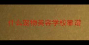 什么宠物美容学校靠谱