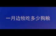 一月边牧吃多少狗粮