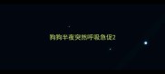 狗狗半夜突然呼吸急促