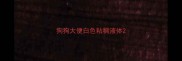 狗狗大便白色粘稠液体