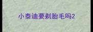 小泰迪要剃胎毛吗