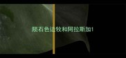 陨石色边牧和阿拉斯加