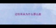边牧耳朵为什么那么脏