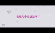 泰迪几个月尴尬期