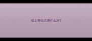 哈士奇幼犬喂什么好