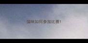 猫咪如何参加比赛