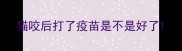 猫咬后打了疫苗是不是好了