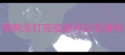 狗狗没打完疫苗可以洗澡吗