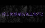 哈士奇眼睛灰色正常不