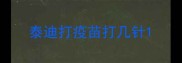 泰迪打疫苗打几针