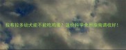 拉布拉多幼犬能不能吃鸡蛋这份科学食用指南请收好