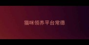 猫咪领养平台常德