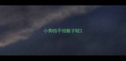 小狗怕不怕蚊子咬