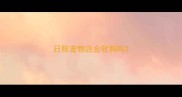 日照宠物店会收狗吗