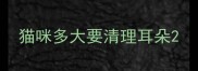 猫咪多大要清理耳朵