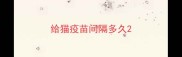 给猫疫苗间隔多久