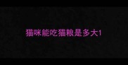 猫咪能吃猫粮是多大