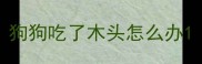狗狗吃了木头怎么办