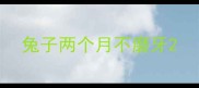 兔子两个月不磨牙