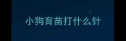 小狗育苗打什么针