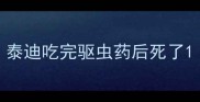 泰迪吃完驱虫药后死了