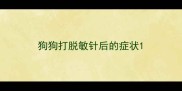 狗狗打脱敏针后的症状