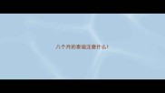 八个月的泰迪注意什么