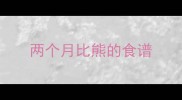 两个月比熊的食谱