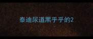 泰迪尿道黑乎乎的