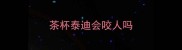 茶杯泰迪会咬人吗