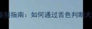 哈士奇舌头颜色与健康鉴别指南如何通过舌色判断犬只健康状况及饲养要点